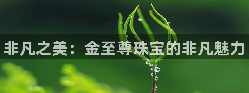 新宝5手机测速：非凡之美：金至尊珠宝的非凡魅力