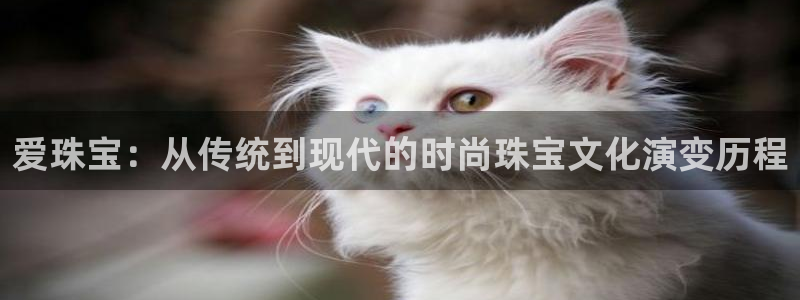 新宝5注册测速登录：爱珠宝：从传统到现代的时尚珠宝文化演变历程