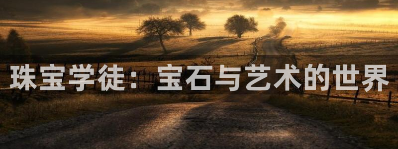 新宝5线路登录检测：珠宝学徒：宝石与艺术的世界