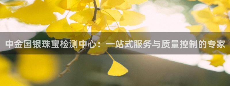 新宝5手机登录：中金国银珠宝检测中心：一站式服务与质量控制的专家