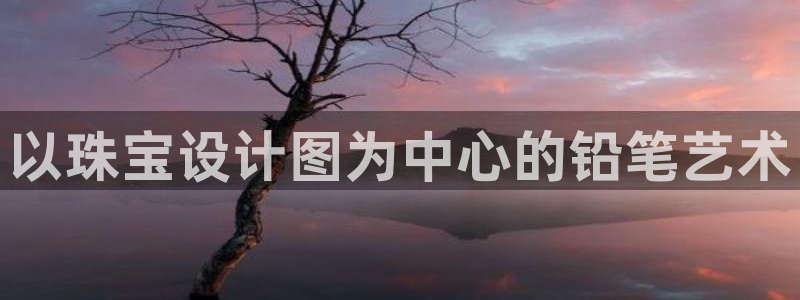新宝股东瞧听2 5 5