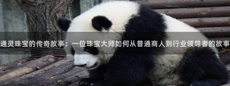 新宝5注册登录：通灵珠宝的传奇故事：一位珠宝大师如何从普通商人到行业领导者的故事