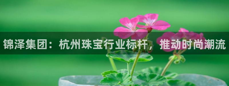 新宝5测速线路：锦泽集团：杭州珠宝行业标杆，推动时尚潮流