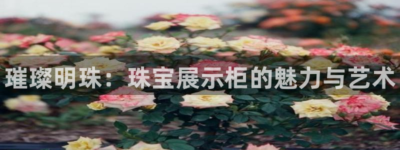 新宝5测速：璀璨明珠：珠宝展示柜的魅力与艺术