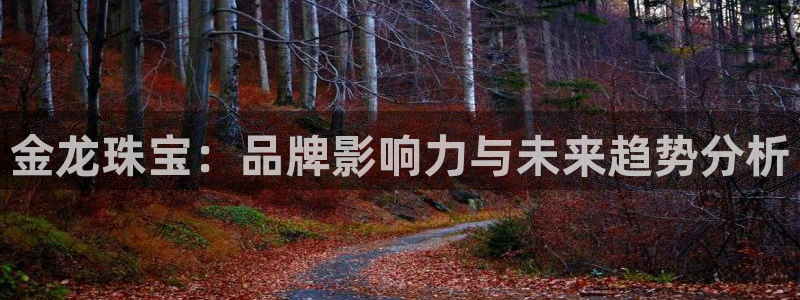 新宝5登录：金龙珠宝：品牌影响力与未来趋势分析