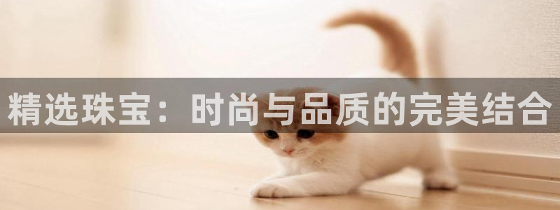 新宝5网址：精选珠宝：时尚与品质的完美结合