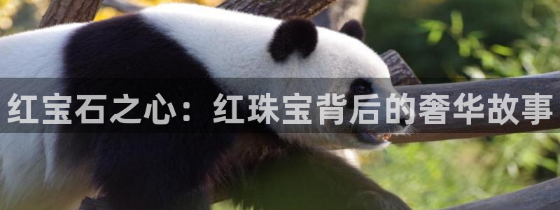 新宝5是什么：红宝石之心：红珠宝背后的奢华故事