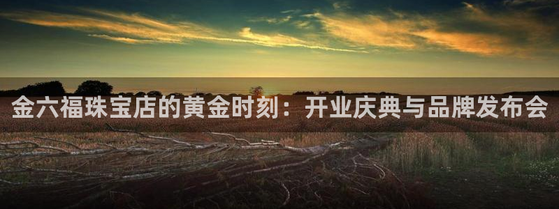 新宝5下载 迅雷下载：金六福珠宝店的黄金时刻：开业庆典与品牌发布会