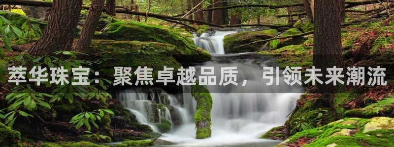 新宝gg5：萃华珠宝：聚焦卓越品质，引领未来潮流