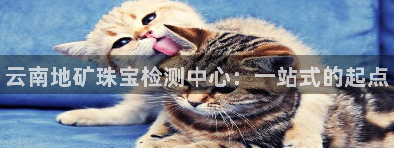 新宝cR一5：云南地矿珠宝检测中心：一站式的起点