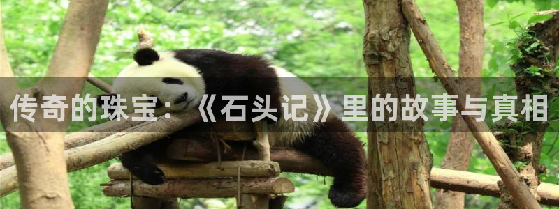 新宝5如何注册：传奇的珠宝：《石头记》里的故事与真相