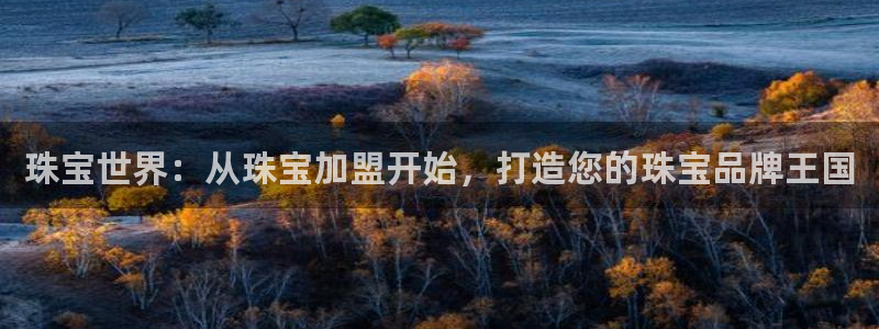 新宝cR一5：珠宝世界：从珠宝加盟开始，打造您的珠宝品牌王国