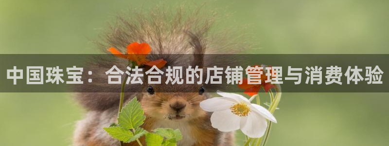 新宝5入口：中国珠宝：合法合规的店铺管理与消费体验