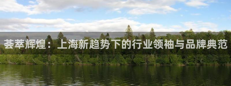新5宝：荟萃辉煌：上海新趋势下的行业领袖与品牌典范