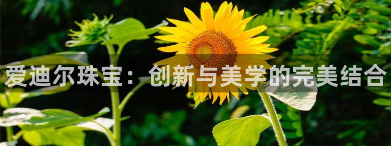 新宝5苹果手机下载：爱迪尔珠宝：创新与美学的完美结合