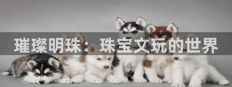 新宝5 测速：璀璨明珠：珠宝文玩的世界