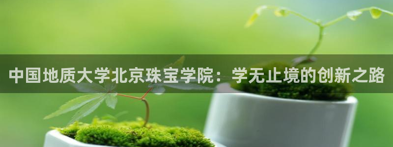 老新宝5授权登录：中国地质大学北京珠宝学院：学无止境的创新之路