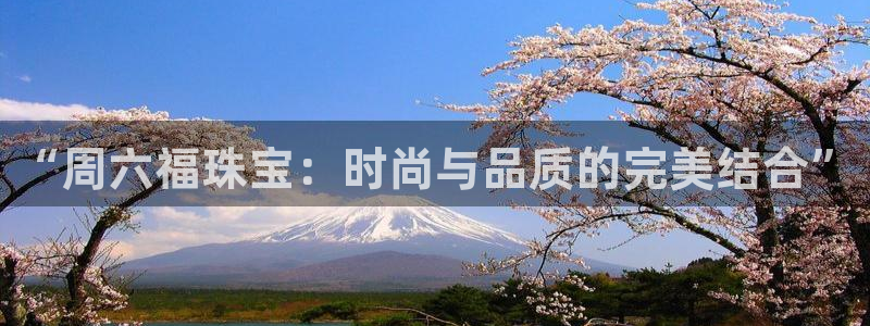 新宝5得74OOO5：“周六福珠宝：时尚与品质的完美结合”