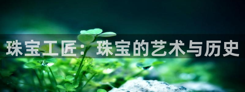 新宝5手机登陆：珠宝工匠：珠宝的艺术与历史