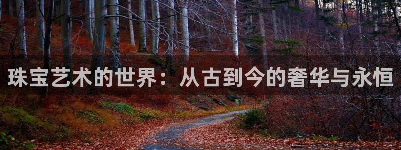 新宝速5：珠宝艺术的世界：从古到今的奢华与永恒