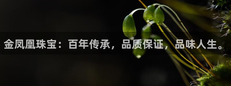 新宝5测速登录：金凤凰珠宝：百年传承，品质保证，品味人生。