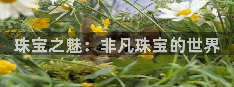 新宝5唯一：珠宝之魅：非凡珠宝的世界