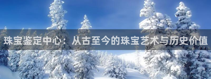 新宝5娱乐招商：珠宝鉴定中心：从古至今的珠宝艺术与历史价值