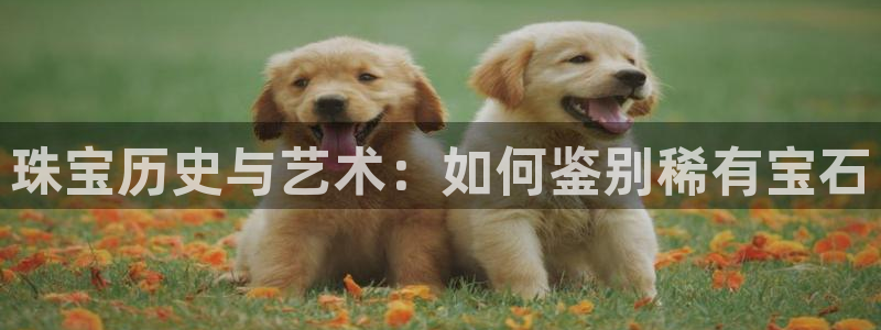 新宝5app：珠宝历史与艺术：如何鉴别稀有宝石