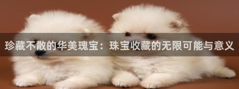 新宝注5册：珍藏不散的华美瑰宝：珠宝收藏的无限可能与意义