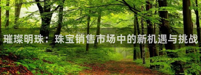 新宝奇迹GG5：璀璨明珠：珠宝销售市场中的新机遇与挑战