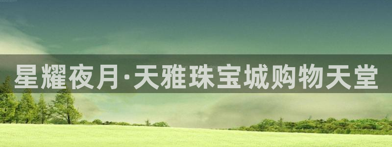 新宝5平台注册资金：星耀夜月·天雅珠宝城购物天堂