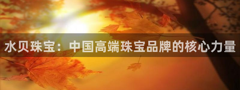 新宝5招商：水贝珠宝：中国高端珠宝品牌的核心力量