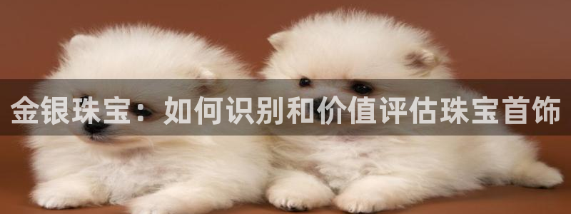 新宝那2O5O5O：金银珠宝：如何识别和价值评估珠宝首饰