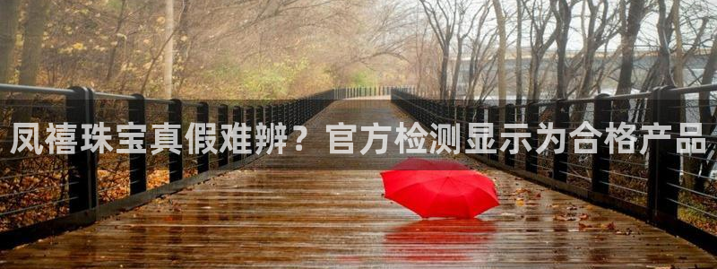 新宝股东王听2 5 5