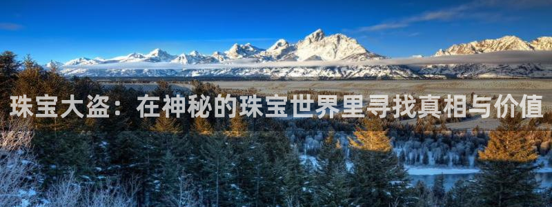 新宝b2O5O5O：珠宝大盗：在神秘的珠宝世界里寻找真相与价值