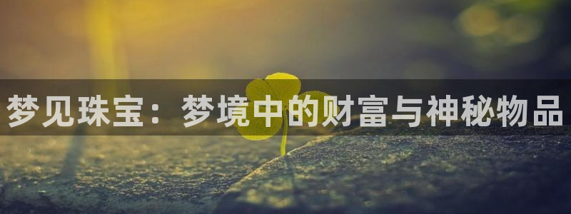 新宝5口67五壹叁八：梦见珠宝：梦境中的财富与神秘物品