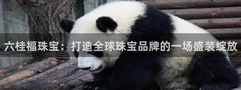 新宝5娱乐多：六桂福珠宝：打造全球珠宝品牌的一场盛装绽放