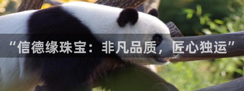 新宝5是什么样子的：“信德缘珠宝：非凡品质，匠心独运”