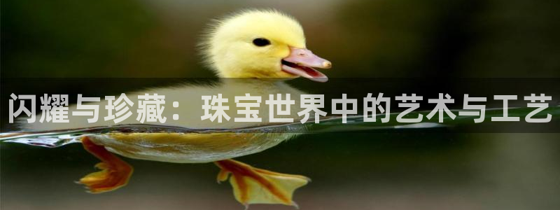 股票5G宝新：闪耀与珍藏：珠宝世界中的艺术与工艺