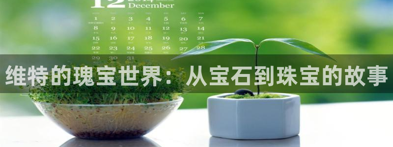 新宝5娱乐登陆：维特的瑰宝世界：从宝石到珠宝的故事