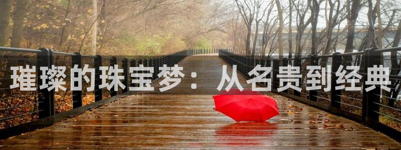 新宝5天：璀璨的珠宝梦：从名贵到经典