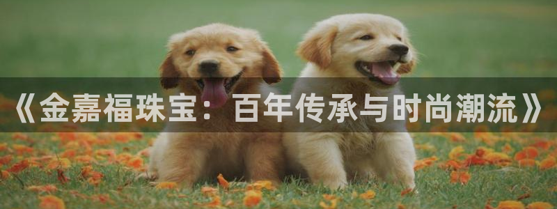 新宝5注册账号：《金嘉福珠宝：百年传承与时尚潮流》