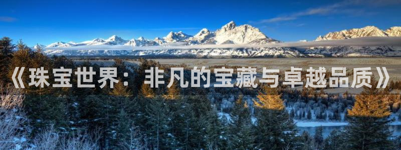 新宝5策略：《珠宝世界：非凡的宝藏与卓越品质》