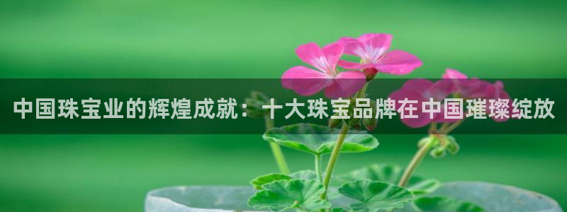 新宝5彩票娱乐平台：中国珠宝业的辉煌成就：十大珠宝品牌在中国璀璨绽放