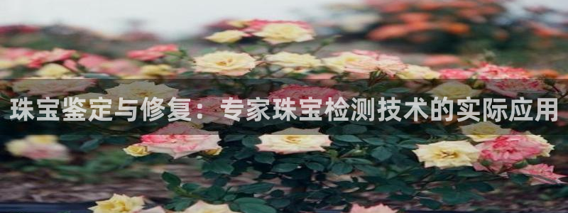 新宝堂新会陈皮5年：珠宝鉴定与修复：专家珠宝检测技术的实际应用