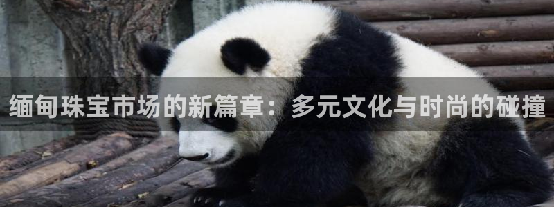 新宝5下载测试：缅甸珠宝市场的新篇章：多元文化与时尚的碰撞