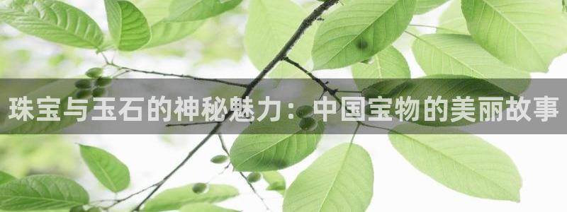 新宝5手机平台登陆：珠宝与玉石的神秘魅力：中国宝物的美丽故事