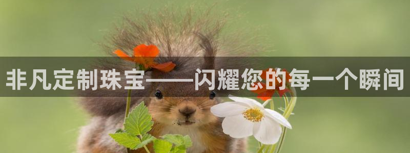 新宝5测速：非凡定制珠宝——闪耀您的每一个瞬间