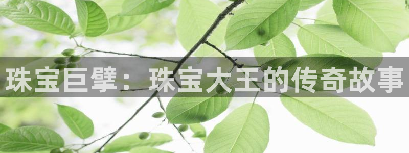 新宝5手机下载：珠宝巨擘：珠宝大王的传奇故事