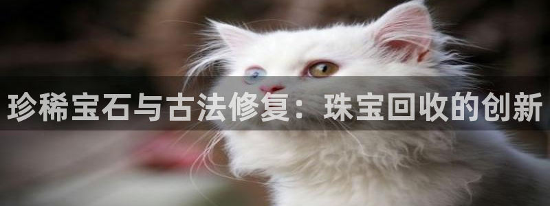 新宝5球维33 300：珍稀宝石与古法修复：珠宝回收的创新